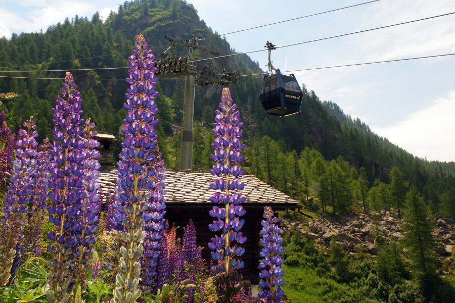 20 - Telecabina Staffal-Gabiet