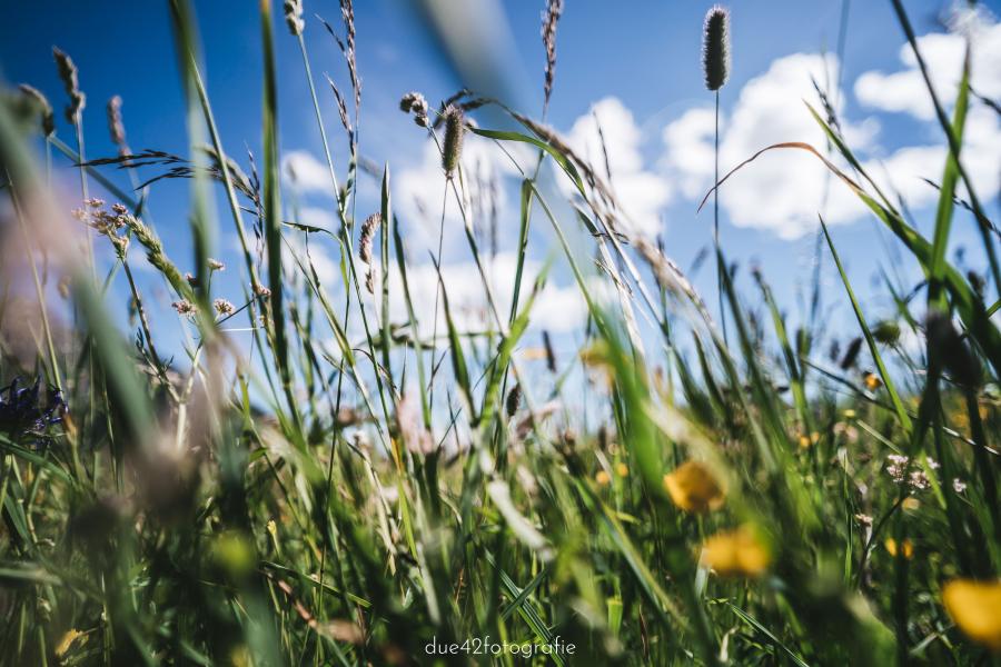 I colori del buon sapore