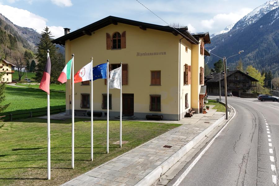 Alpenfaunamuseum 