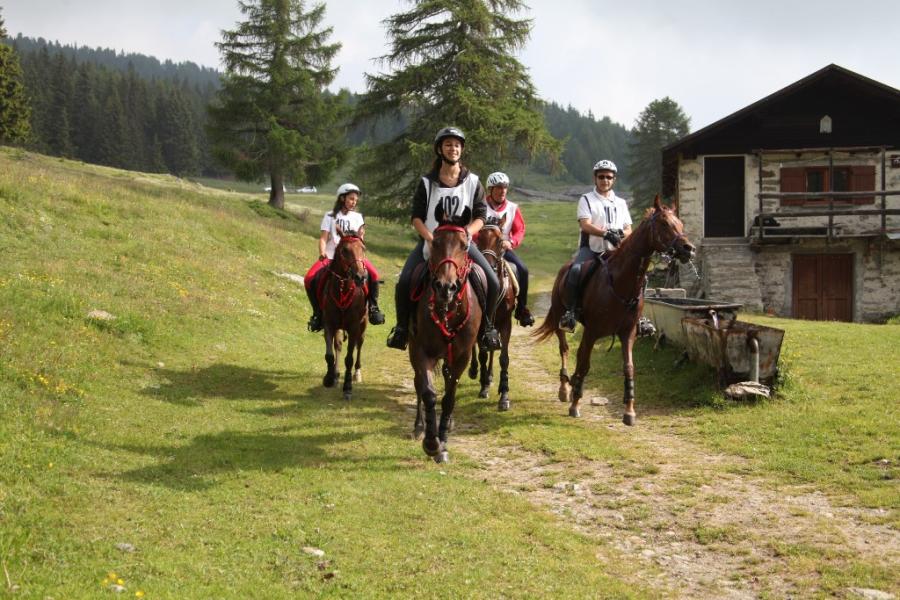 Equestrian event - International Endurance Race