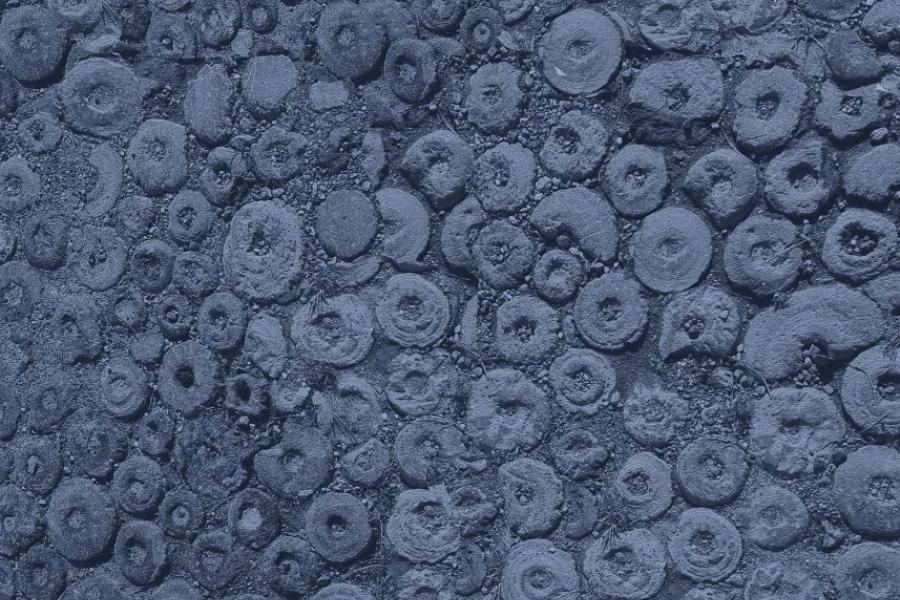 Festival della pietra ollare