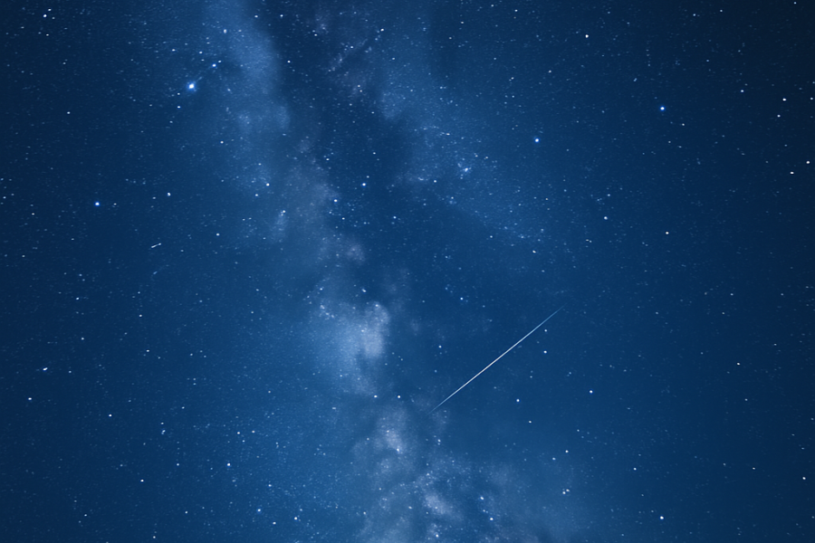 meravigliosa stellata