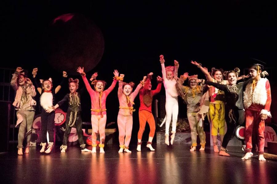 teatro  Stage di Teatro - il Magico Viaggio di OZ