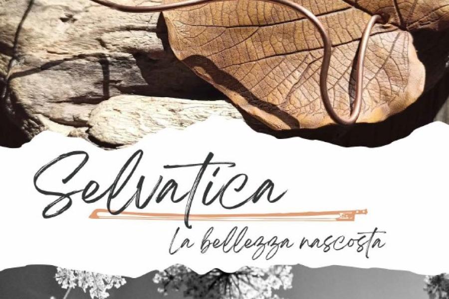 Mostra: Selvatica. La bellezza nascosta