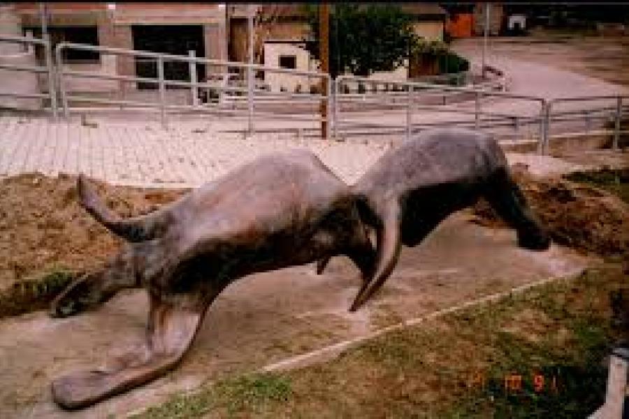 "Nuove sensazioni" - mostra di scultura