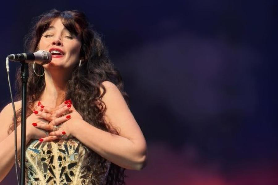 Una serata al cinema