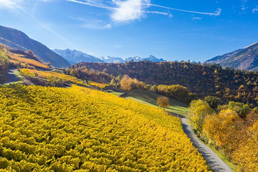 Vigneti  Cantine a Cielo Aperto