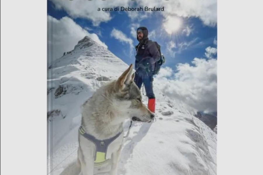 Presentazione del libro: Io sono Numb