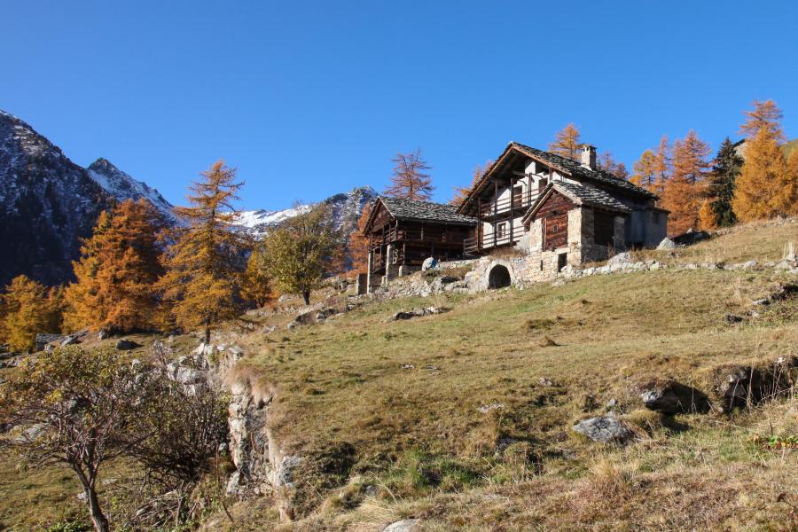 Il progetto Dahu a Issime: nuove scoperte e progetti per il futuro