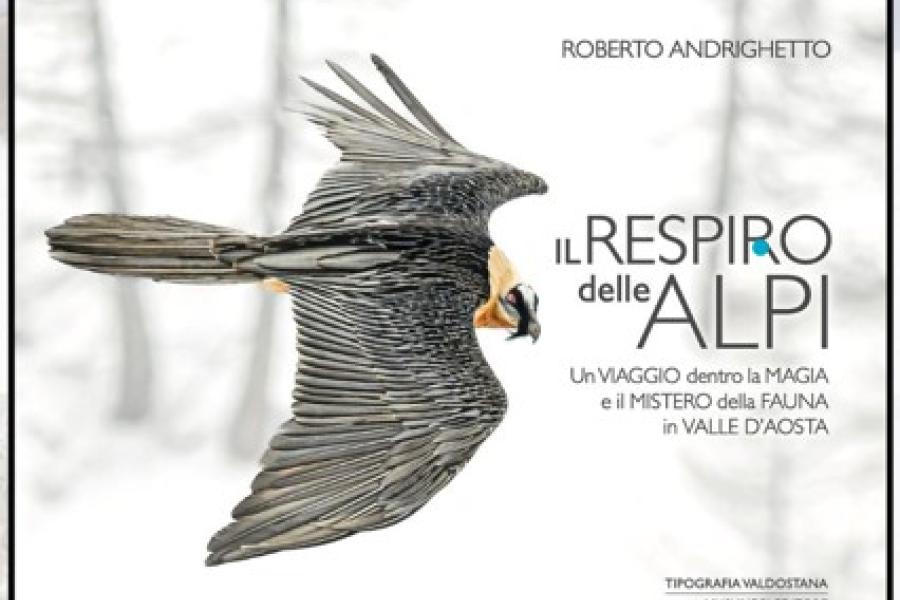 Quattro chiacchiere in biblioteca... Il respiro delle Alpi