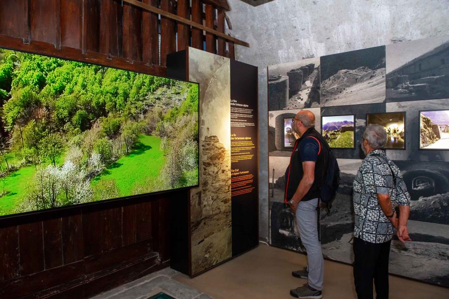 Conferenza: I musei fanno bene alla salute