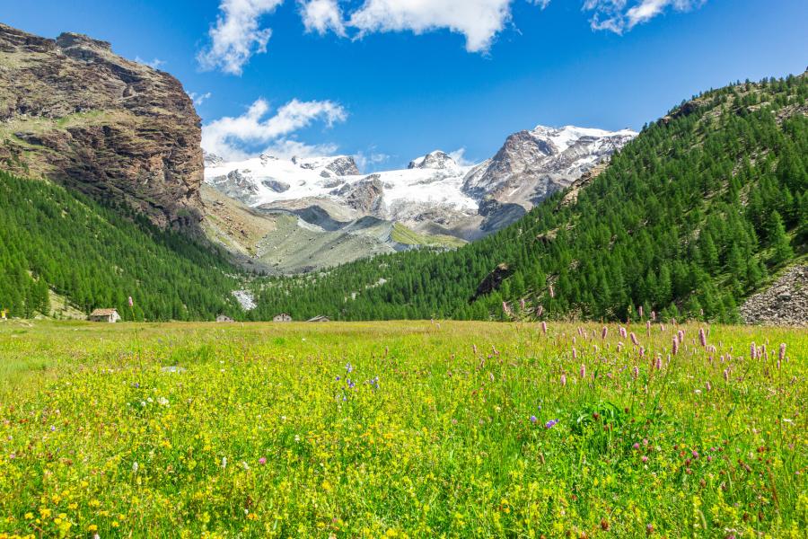 Monte Rosa  Un sentiero aperto verso le vette della spiritualità