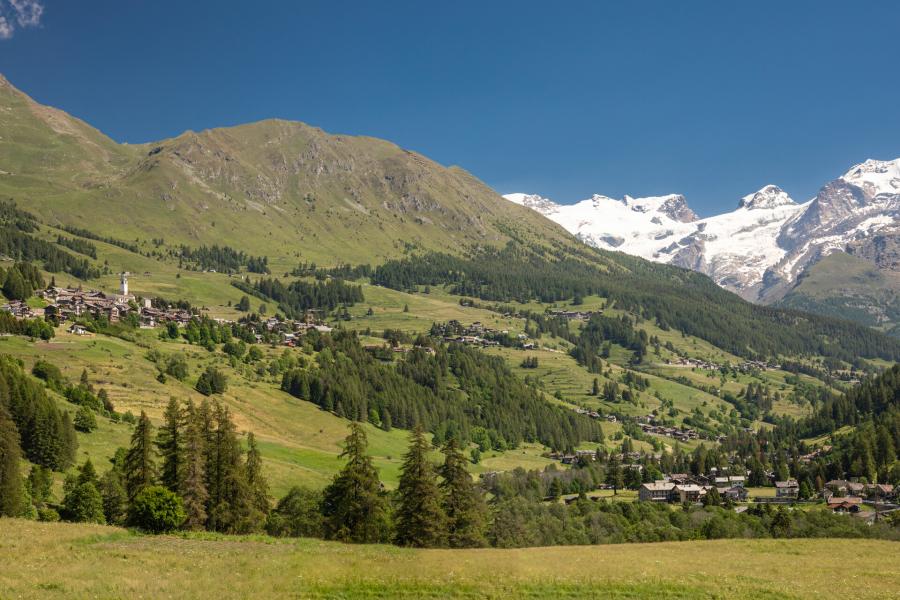 Monte Rosa  Le marmotte non dormono - Contrappunti verticali