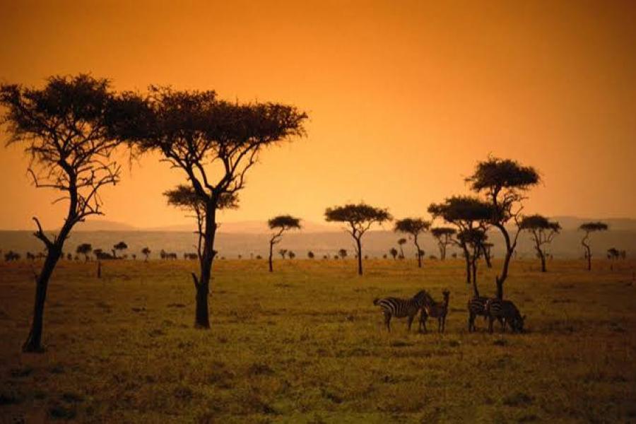 Africa - lenire le ferite e costruire lo sviluppo
