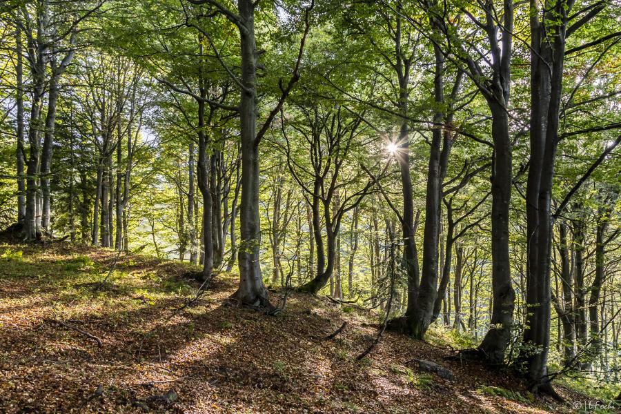 Scopello Alpe di Mera