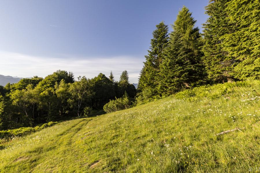 alpe di mera bocchetta della Boscarola
