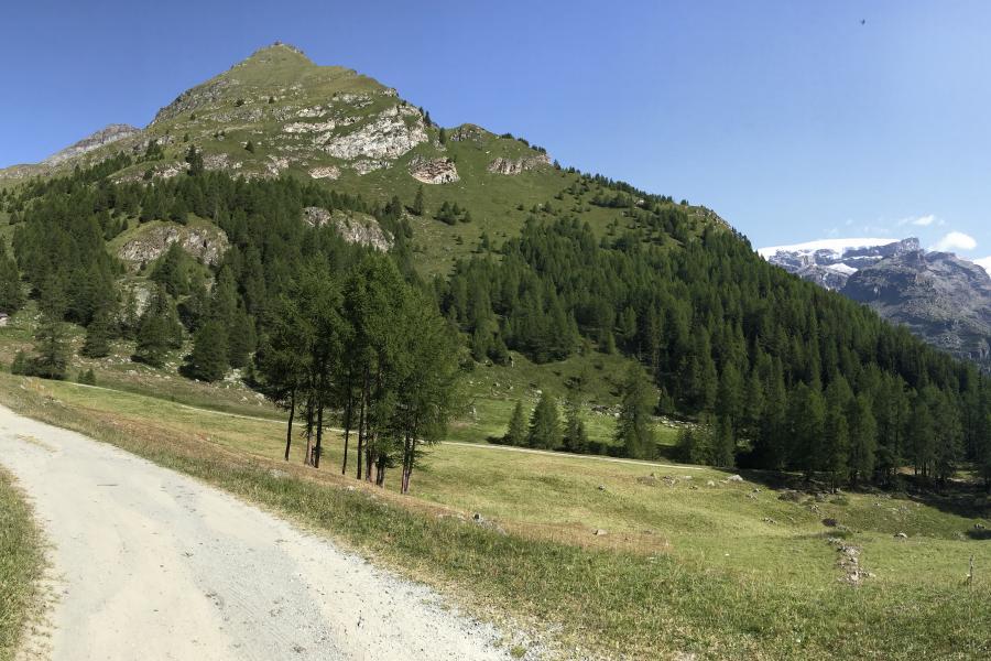 Il grande Cult delle escursioni in Mountain bike in Val d'Ayas