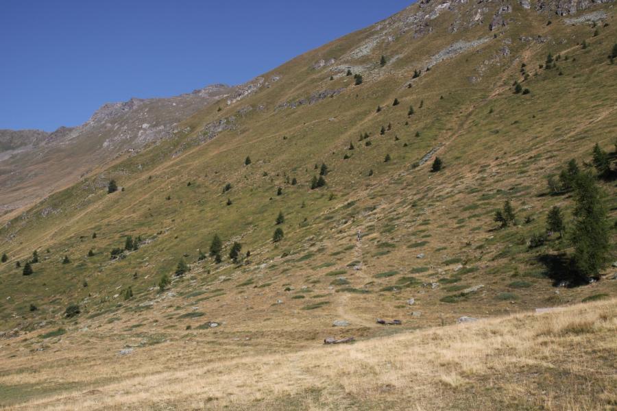 Dall’Alpe Metsan, l’inizio del sentiero verso l’Alpe Vascoccia.