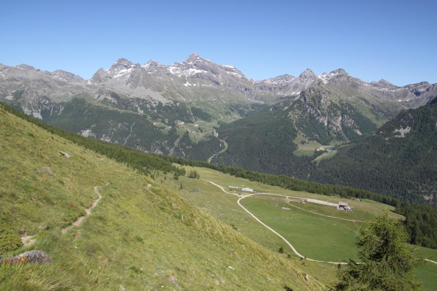 Discesa verso l’Alpe Metsan.