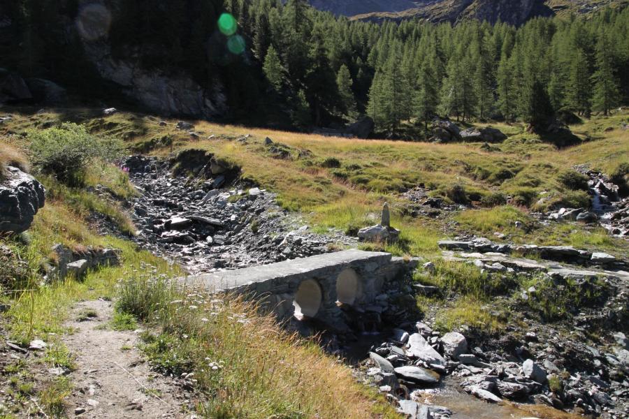 Discesa verso il torrente Cunéaz.