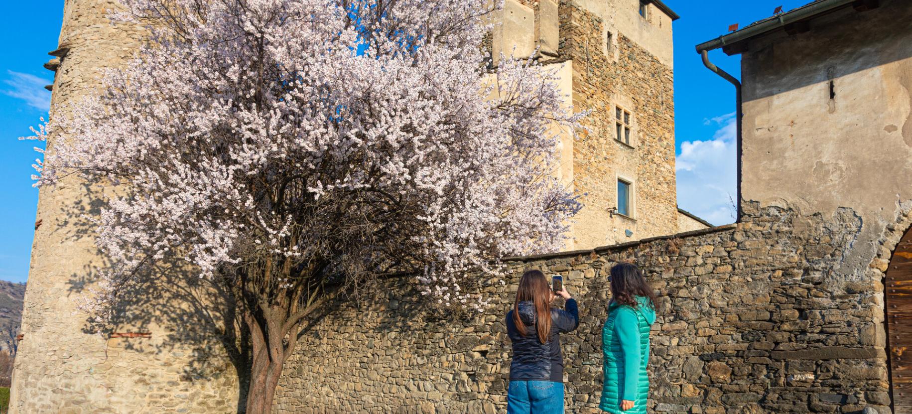 Fête des Mères en Vallée d'Aoste dans les lieux de culture