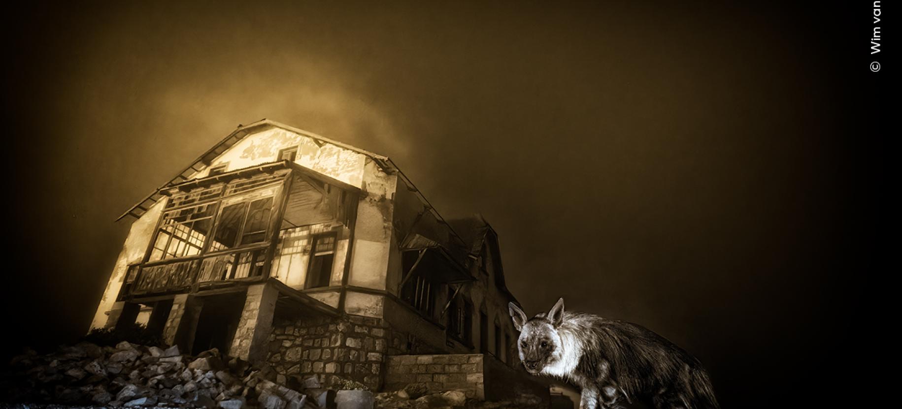 Wildlife Photographer of the Year