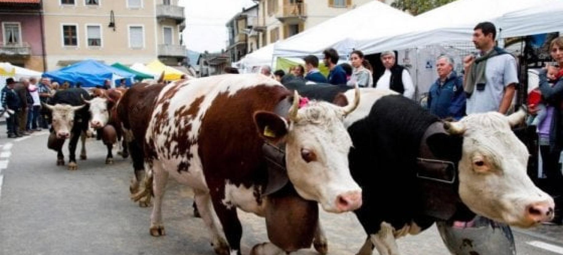Foire aux bestiaux