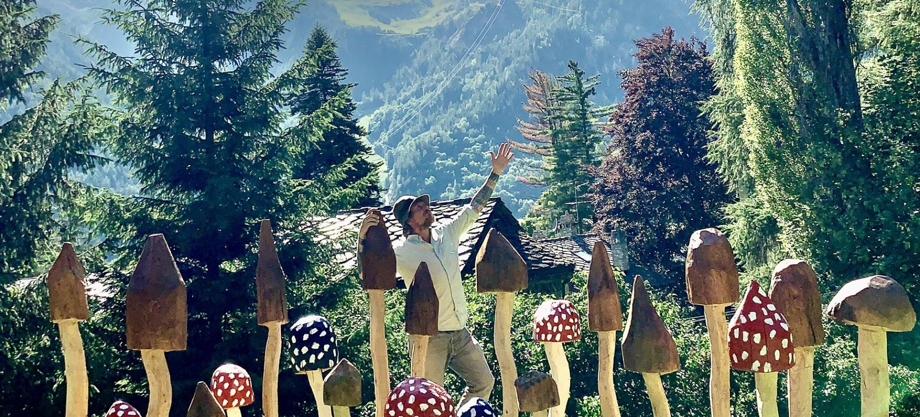 The Mushroom Fortress