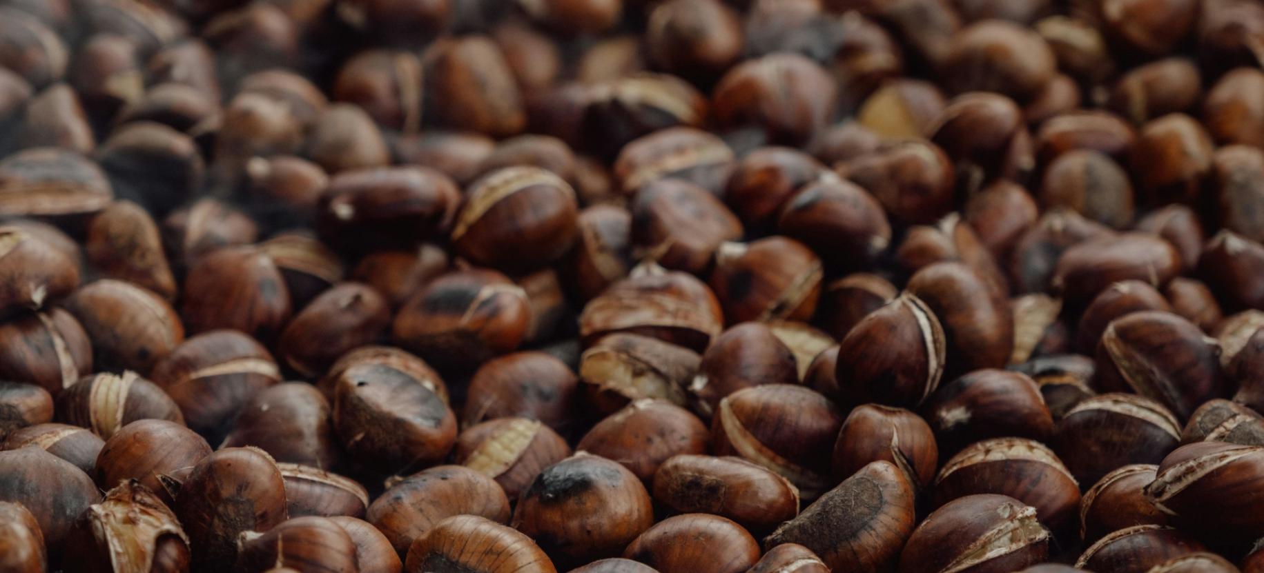 Castagnata di Ognissanti