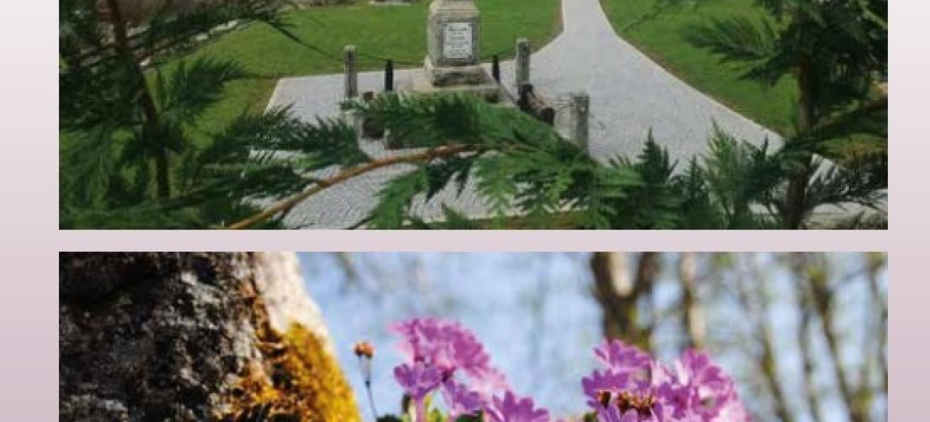 Il Festival del Folklore