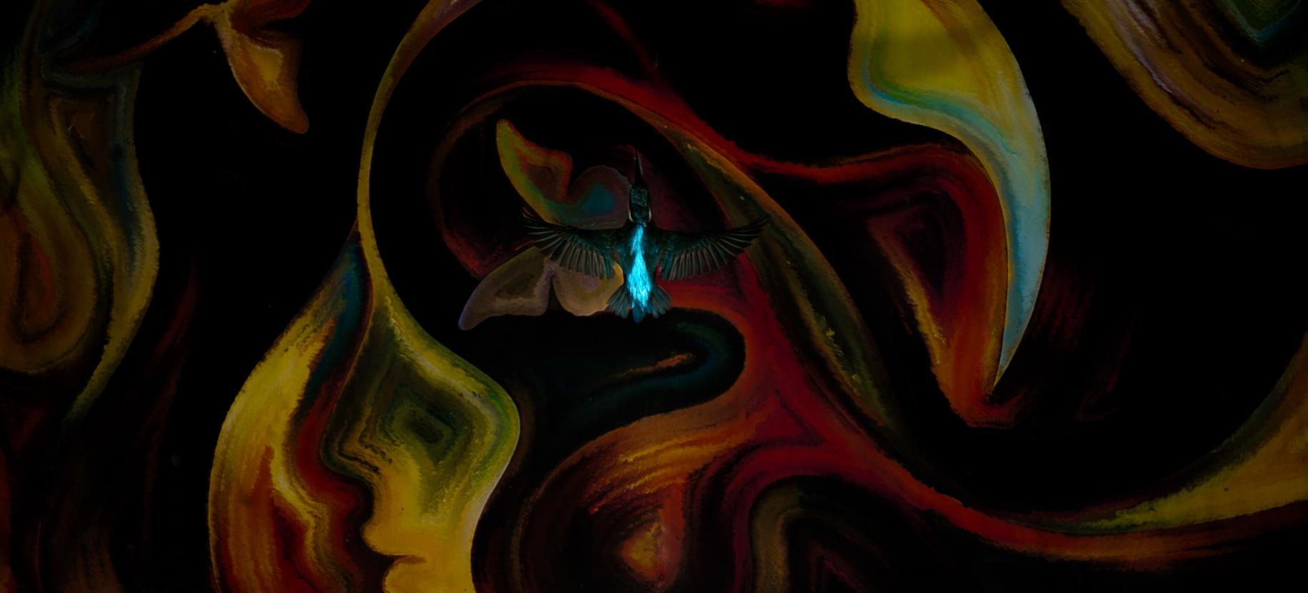 Bird Photographer of the Year