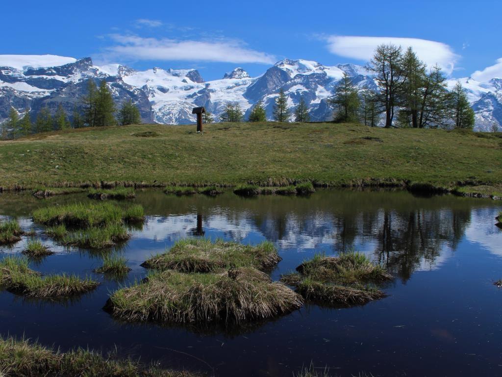 Attualità e rilancio delle consorterie valdostane