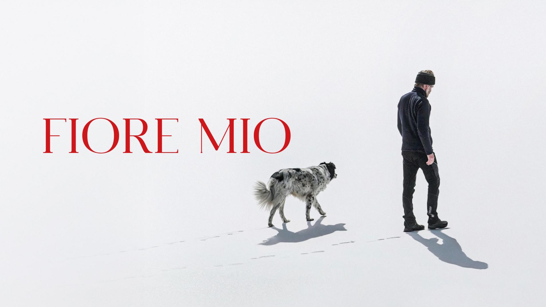 fior mio  "Fiore mio" - cinema