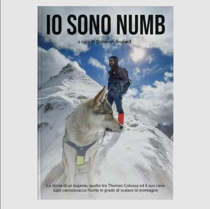 Presentazione del libro: Io sono Numb