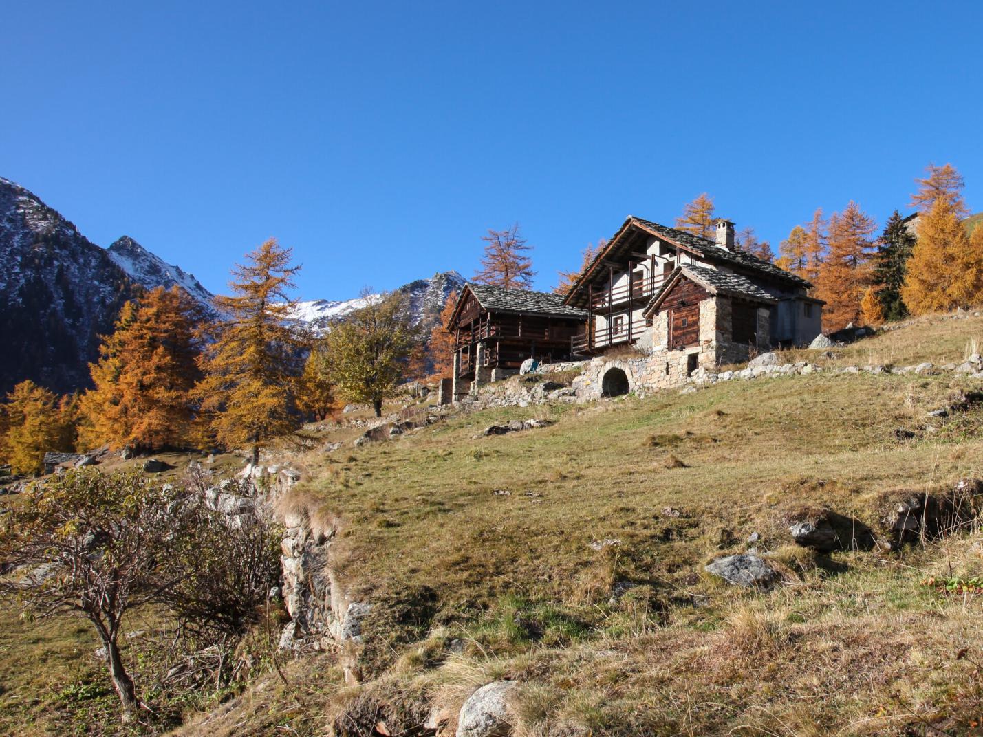 Il progetto Dahu a Issime: nuove scoperte e progetti per il futuro