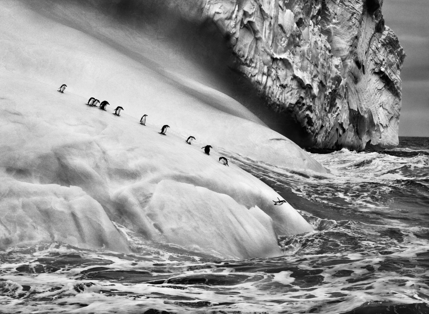 © Sebastião Salgado/Contrasto. Gli iceberg sono pezzi di ghiacciaio che si staccano e vanno alla deriva nel mare. Isole Sandwich Australi, 2009    Mostra fotografica: Sebastião Salgado - Ghiacciai