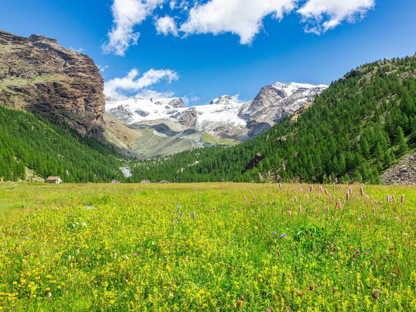 Monte Rosa  Un sentiero aperto verso le vette della spiritualità