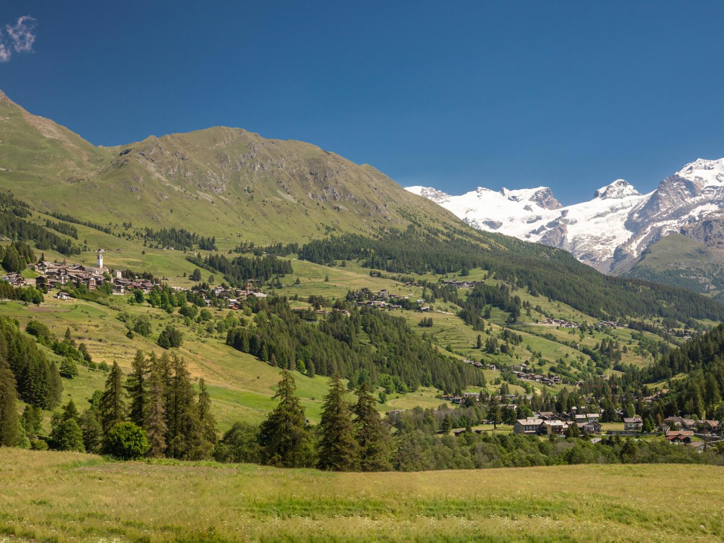 Monte Rosa  Le marmotte non dormono - Contrappunti verticali