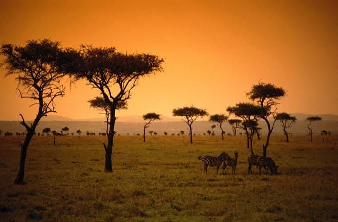 Africa - lenire le ferite e costruire lo sviluppo