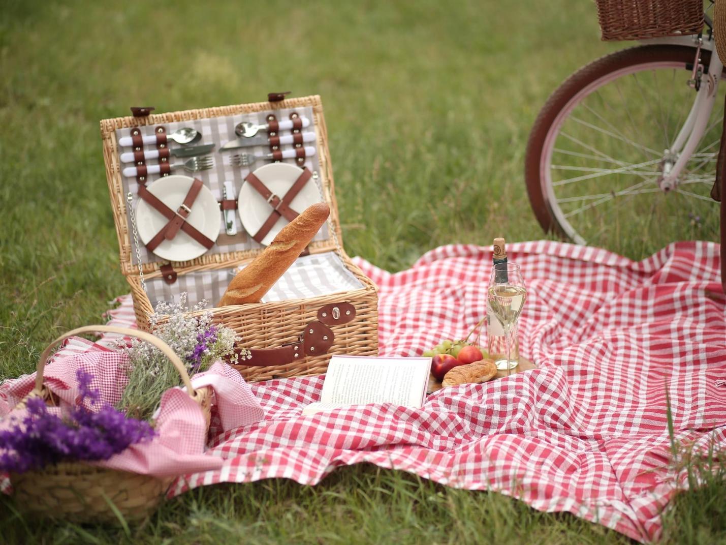 Pic nic Domenicale  ANNULLATO - Pic-nic anni '50