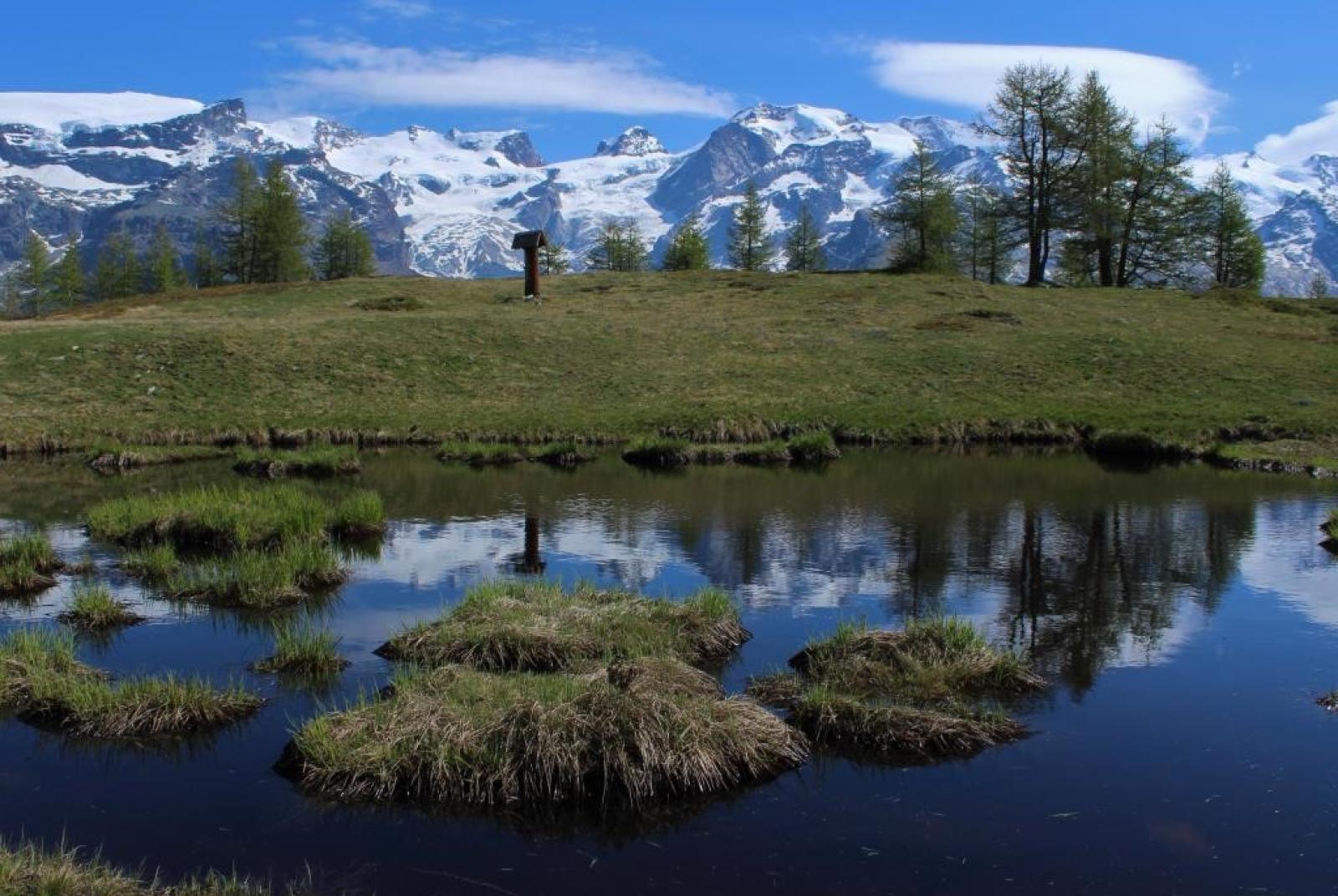 Attualità e rilancio delle consorterie valdostane