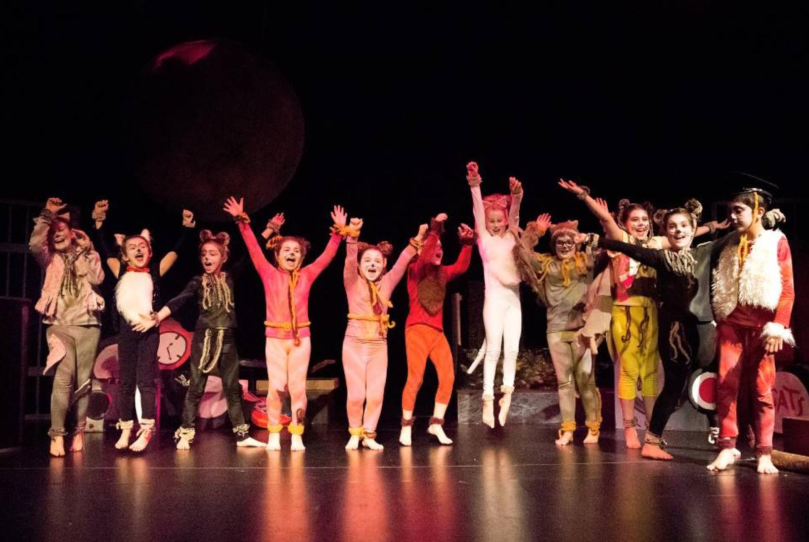 teatro  Stage di Teatro - il Magico Viaggio di OZ