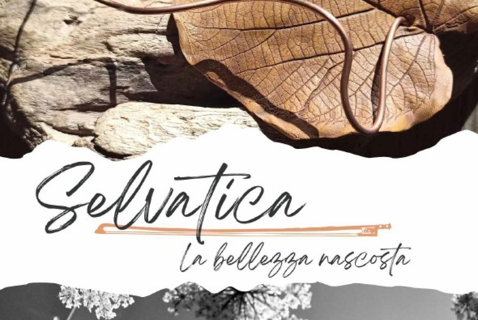 Mostra: Selvatica. La bellezza nascosta