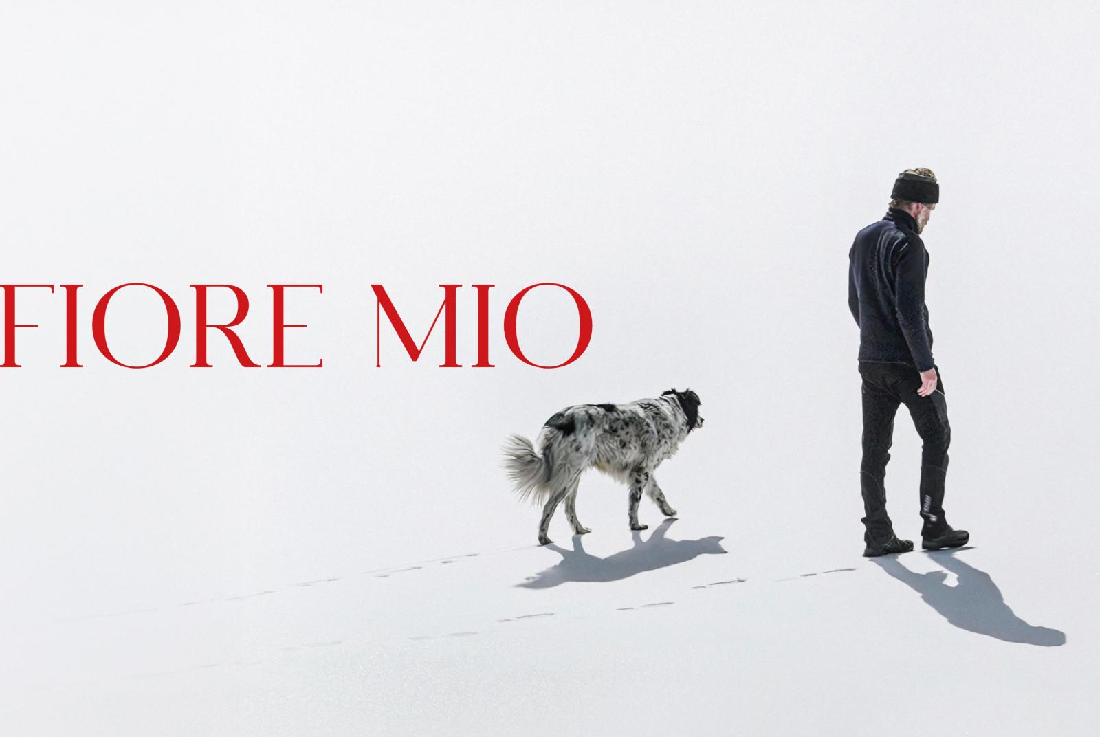 fior mio  "Fiore mio" - cinema