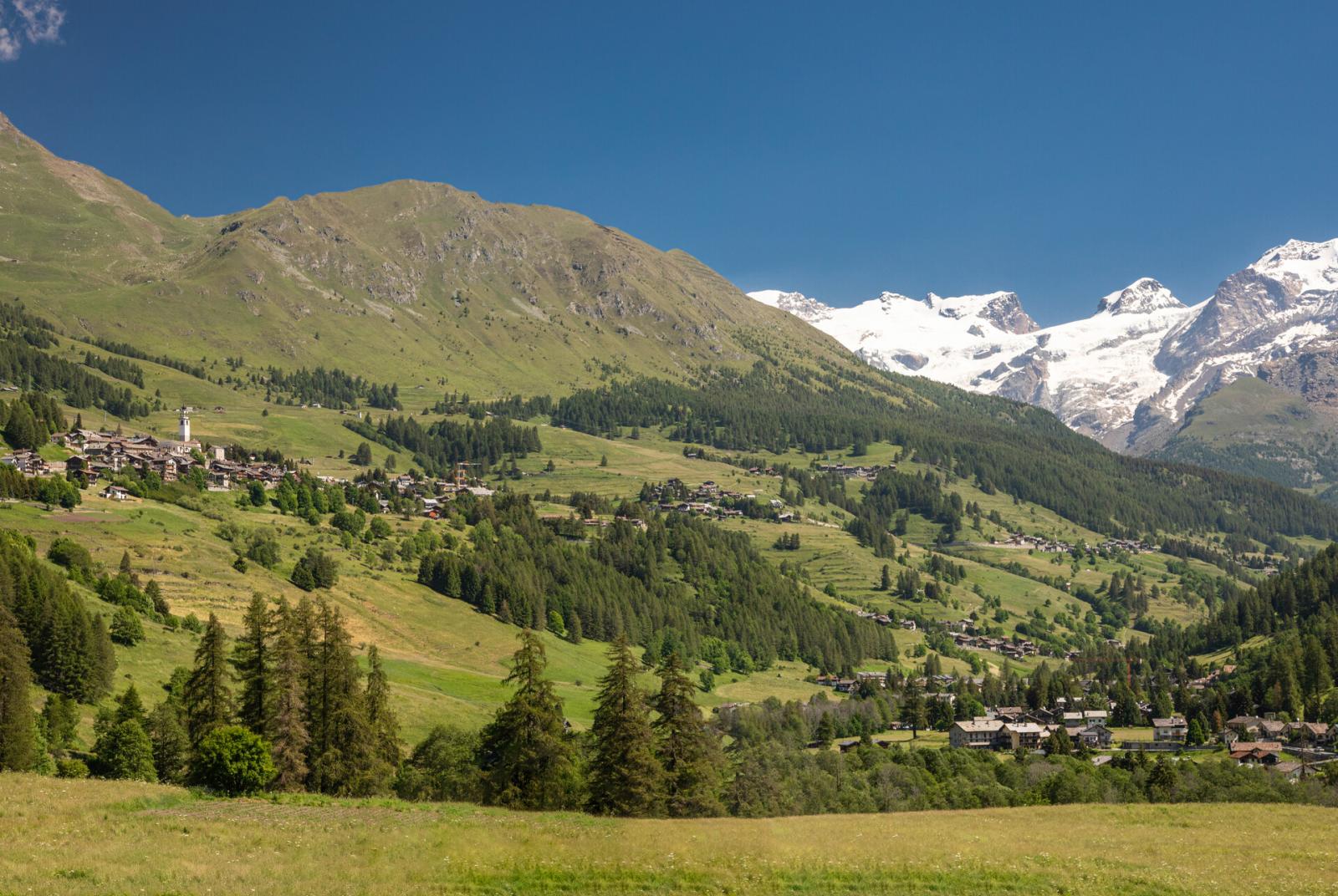 Monte Rosa  Le marmotte non dormono - Contrappunti verticali