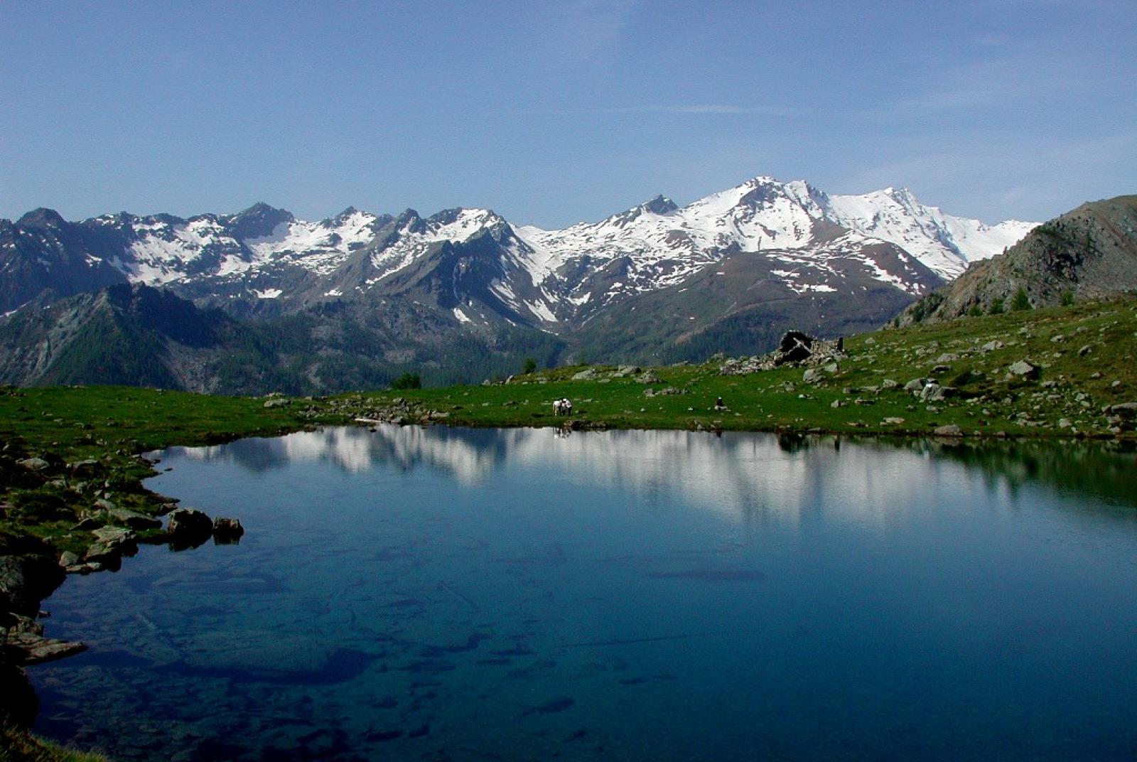 Live in quota - Kedivé
