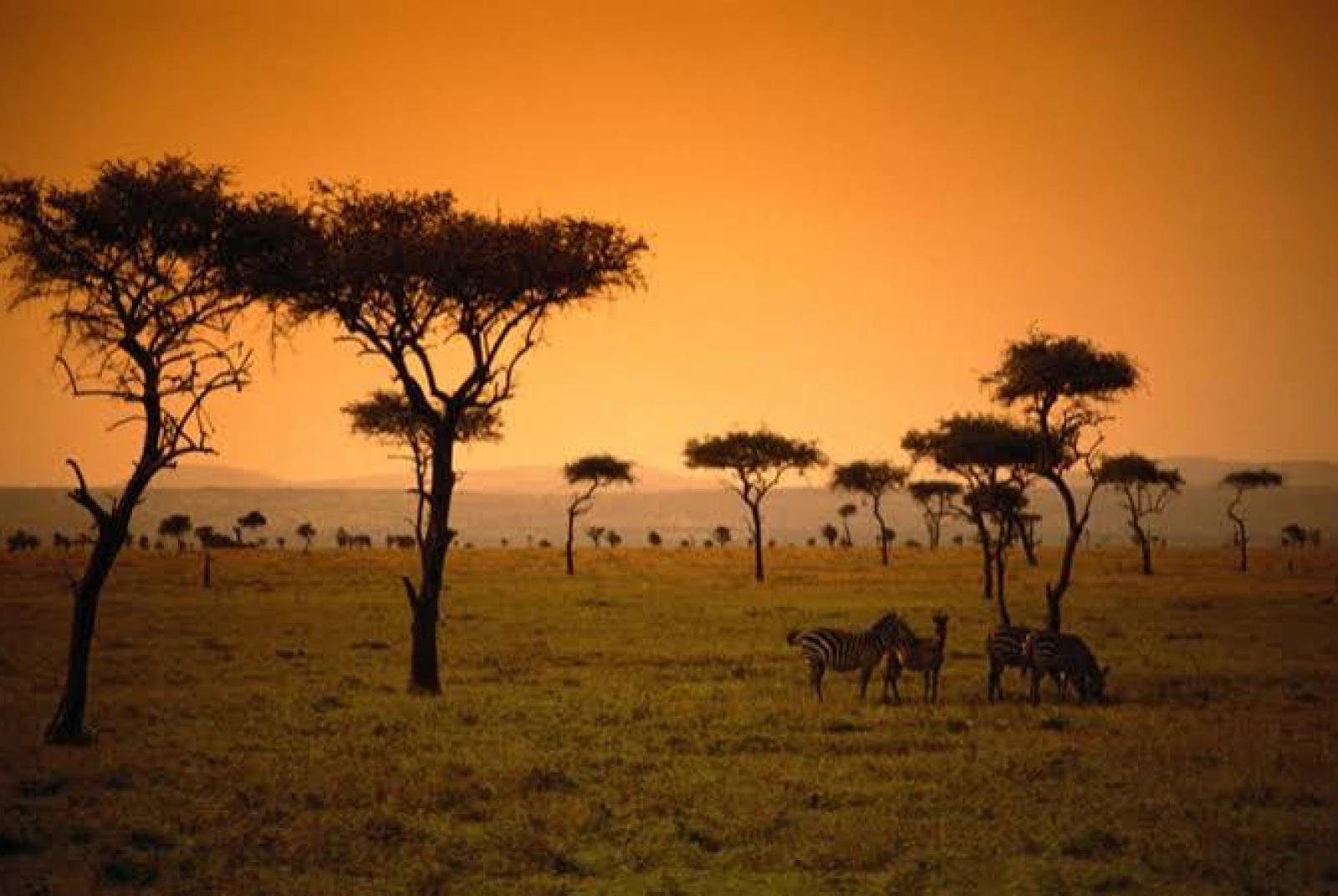 Africa - lenire le ferite e costruire lo sviluppo