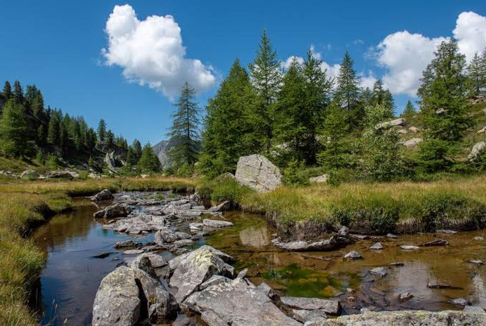 Presentazione del sito e app "Sentieri di Gressoney"