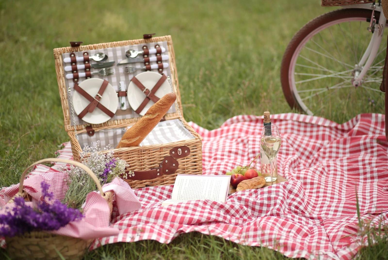 Pic nic Domenicale  ANNULLATO - Pic-nic anni '50